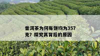 普洱茶为何每饼均为357克？探究其背后的原因