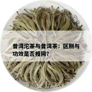 普洱沱茶与普洱茶：区别与功效是否相同？