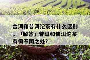 普洱和普洱沱茶有什么区别，「解答」普洱和普洱沱茶有何不同之处？