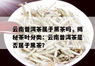 云南普洱茶属于黑茶吗，揭秘茶叶分类：云南普洱茶是否属于黑茶？