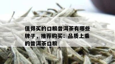 值得买的口粮普洱茶有哪些牌子，推荐购买：品质上乘的普洱茶口粮