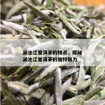 澜沧江普洱茶的特点，探秘澜沧江普洱茶的独特魅力