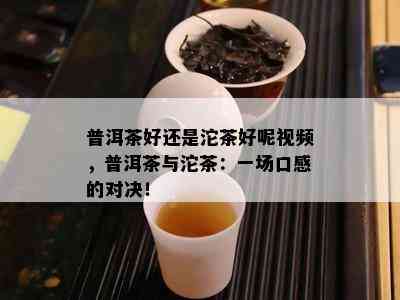 普洱茶好还是沱茶好呢视频，普洱茶与沱茶：一场口感的对决！