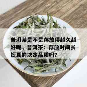 普洱茶是不是存放得越久越好呢，普洱茶：存放时间长短真的决定品质吗？