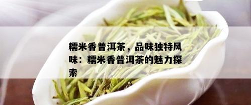 糯米香普洱茶，品味独特风味：糯米香普洱茶的魅力探索