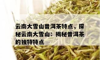 云南大雪山普洱茶特点，探秘云南大雪山：揭秘普洱茶的独特特点