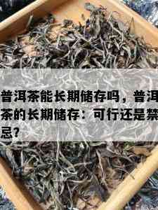 普洱茶能长期储存吗，普洱茶的长期储存：可行还是禁忌？