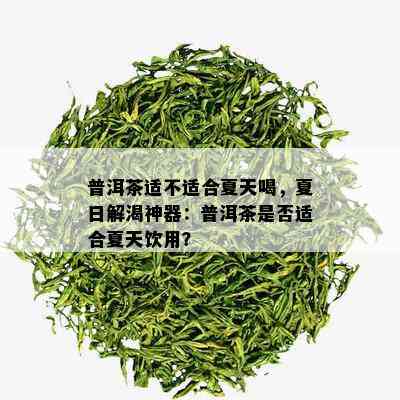 普洱茶适不适合夏天喝，夏日解渴神器：普洱茶是否适合夏天饮用？