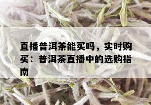 直播普洱茶能买吗，实时购买：普洱茶直播中的选购指南