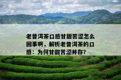 老普洱茶口感甘甜苦涩怎么回事啊，解析老普洱茶的口感：为何甘甜苦涩并存？