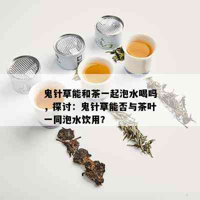 鬼针草能和茶一起泡水喝吗，探讨：鬼针草能否与茶叶一同泡水饮用？