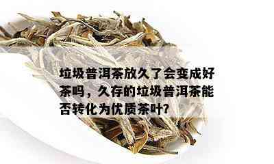 垃圾普洱茶放久了会变成好茶吗，久存的垃圾普洱茶能否转化为优质茶叶？