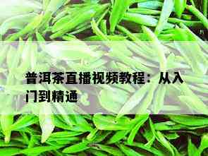 普洱茶直播视频教程：从入门到精通