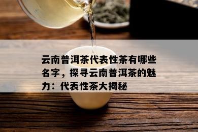 云南普洱茶代表性茶有哪些名字，探寻云南普洱茶的魅力：代表性茶大揭秘