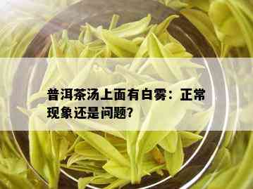 普洱茶汤上面有白雾：正常现象还是问题？