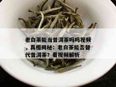 老白茶能当普洱茶吗吗视频，真相揭秘：老白茶能否替代普洱茶？看视频解析