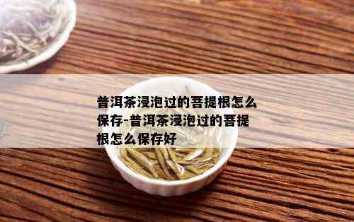 普洱茶浸泡过的菩提根怎么保存-普洱茶浸泡过的菩提根怎么保存好