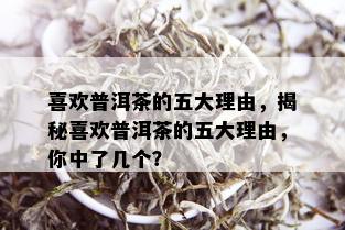 喜欢普洱茶的五大理由，揭秘喜欢普洱茶的五大理由，你中了几个？