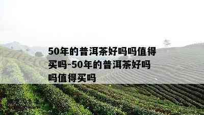 50年的普洱茶好吗吗值得买吗-50年的普洱茶好吗吗值得买吗