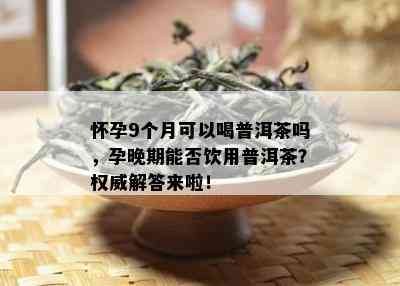 怀孕9个月可以喝普洱茶吗，孕晚期能否饮用普洱茶？权威解答来啦！