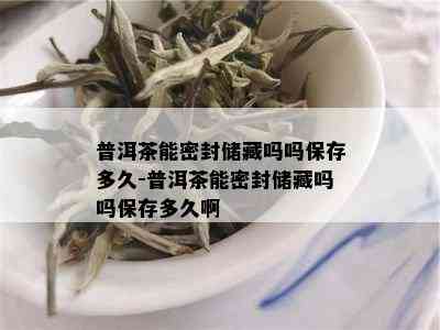 普洱茶能密封储藏吗吗保存多久-普洱茶能密封储藏吗吗保存多久啊