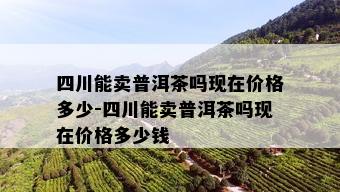 四川能卖普洱茶吗现在价格多少-四川能卖普洱茶吗现在价格多少钱