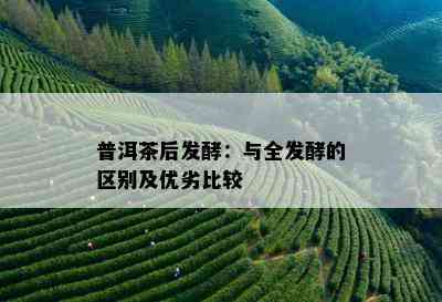 普洱茶后发酵：与全发酵的区别及优劣比较