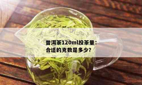 普洱茶120ml投茶量：合适的克数是多少？