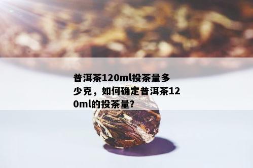 普洱茶120ml投茶量多少克，如何确定普洱茶120ml的投茶量？