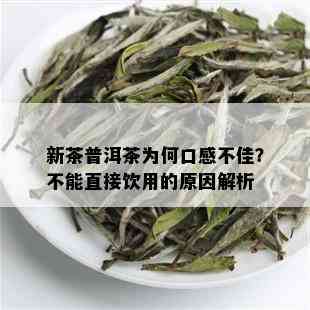 新茶普洱茶为何口感不佳？不能直接饮用的原因解析