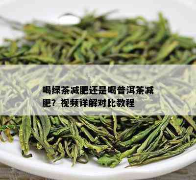 喝绿茶减肥还是喝普洱茶减肥？视频详解对比教程