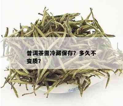 普洱茶需冷藏保存？多久不变质？