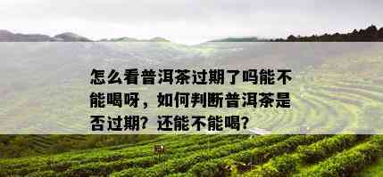 怎么看普洱茶过期了吗能不能喝呀，如何判断普洱茶是否过期？还能不能喝？