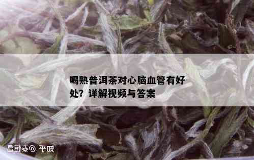 喝熟普洱茶对心脑血管有好处？详解视频与答案