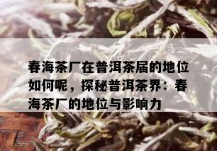 春海茶厂在普洱茶届的地位如何呢，探秘普洱茶界：春海茶厂的地位与影响力