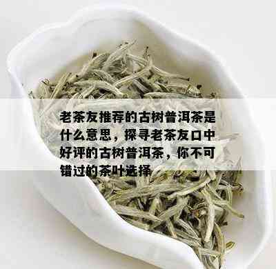 老茶友推荐的古树普洱茶是什么意思，探寻老茶友口中好评的古树普洱茶，你不可错过的茶叶选择