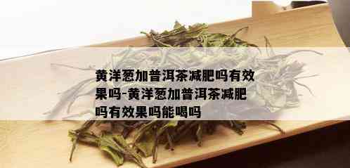 黄洋葱加普洱茶减肥吗有效果吗-黄洋葱加普洱茶减肥吗有效果吗能喝吗