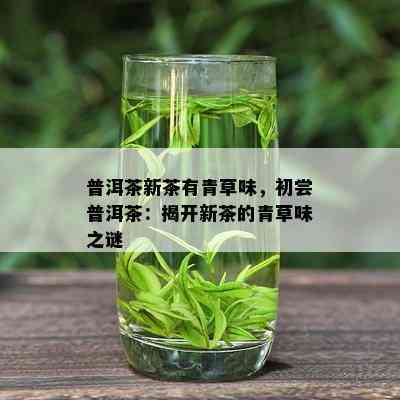 普洱茶新茶有青草味，初尝普洱茶：揭开新茶的青草味之谜