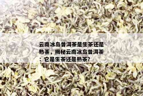 云南冰岛普洱茶是生茶还是熟茶，揭秘云南冰岛普洱茶：它是生茶还是熟茶？