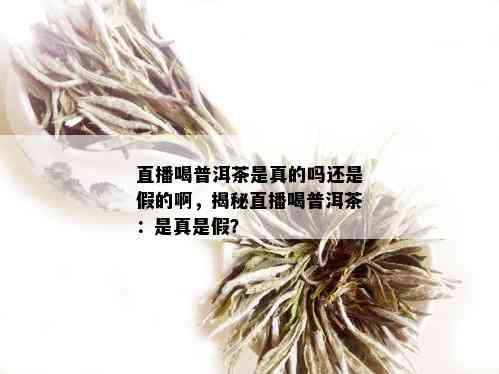 直播喝普洱茶是真的吗还是假的啊，揭秘直播喝普洱茶：是真是假？