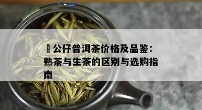 孖公仔普洱茶价格及品鉴：熟茶与生茶的区别与选购指南