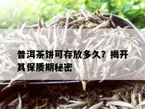 普洱茶饼可存放多久？揭开其保质期秘密