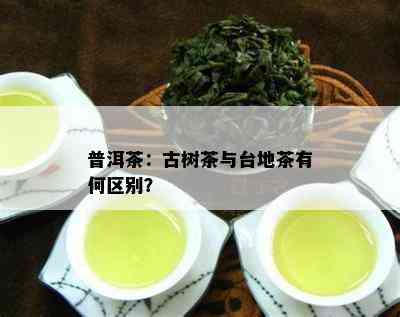 普洱茶：古树茶与台地茶有何区别？