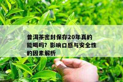 普洱茶密封保存20年真的能喝吗？影响口感与安全性的因素解析