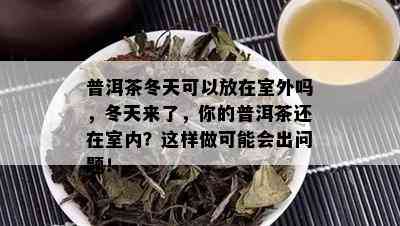 普洱茶冬天可以放在室外吗，冬天来了，你的普洱茶还在室内？这样做可能会出问题！