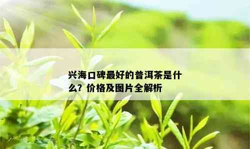 兴海口碑更好的普洱茶是什么？价格及图片全解析