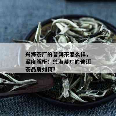 兴海茶厂的普洱茶怎么样，深度解析：兴海茶厂的普洱茶品质如何？