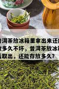 普洱茶放冰箱里拿出来还能放多久不坏，普洱茶放冰箱后取出，还能存放多久？