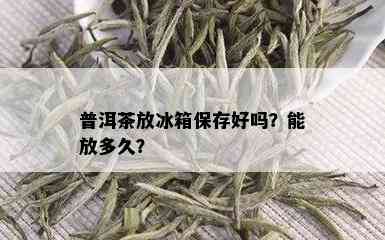 普洱茶放冰箱保存好吗？能放多久？