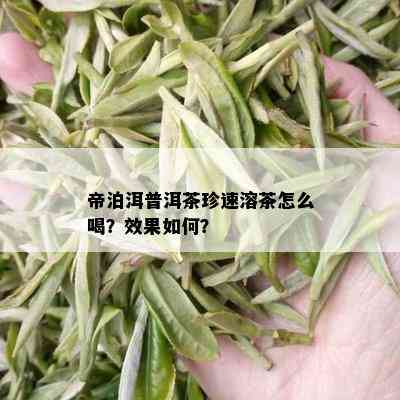 帝泊洱普洱茶珍速溶茶怎么喝？效果如何？